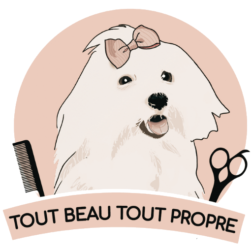 Tout Beau Tout Propre